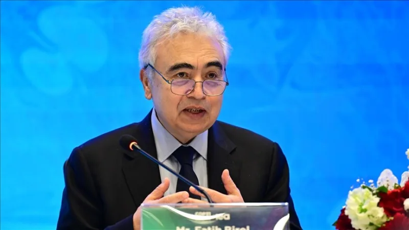 IEA Executive Director Birol said that oil prices 
