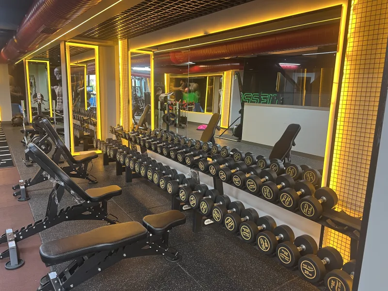 Black Bull Pro GYM